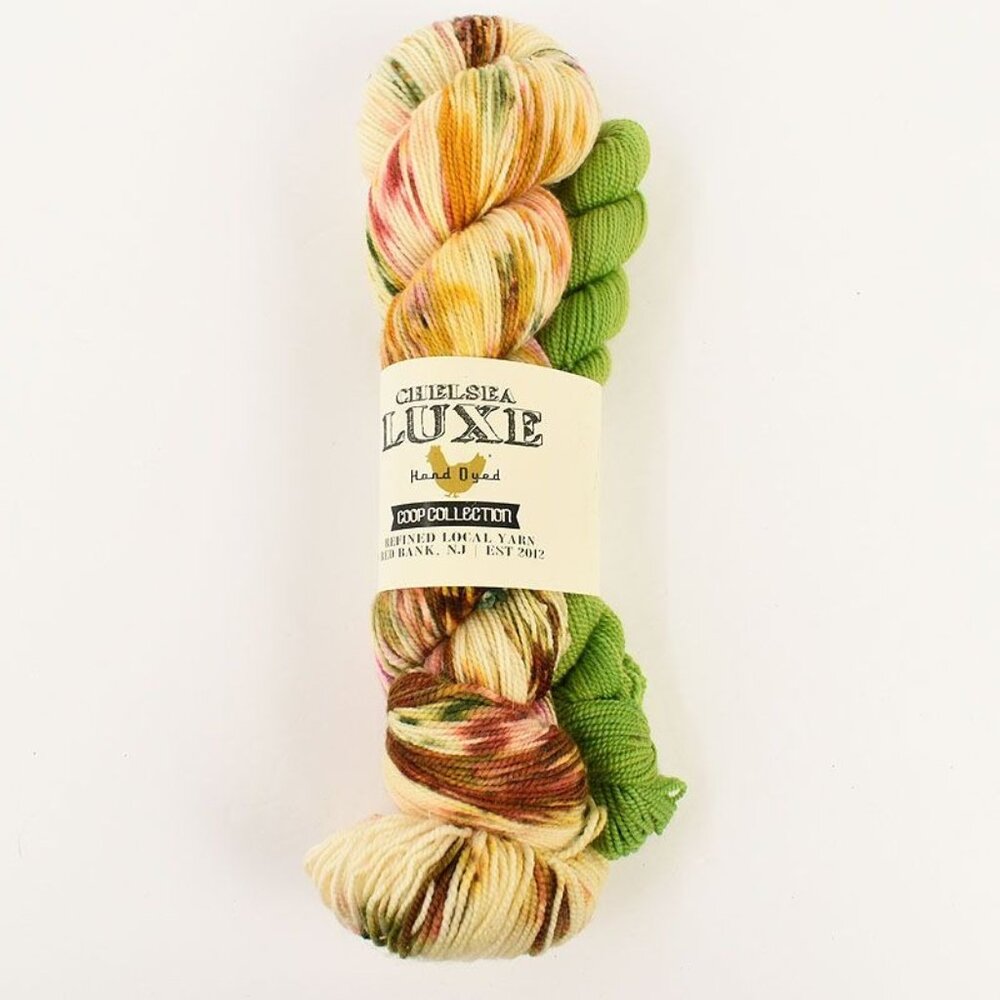 Chelsea Luxe Coop Sock Yarn Set Superwash Merino Nylon 400 Yds Angel Colorway